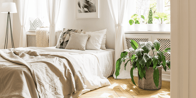 Schlafzimmer - Botanicly