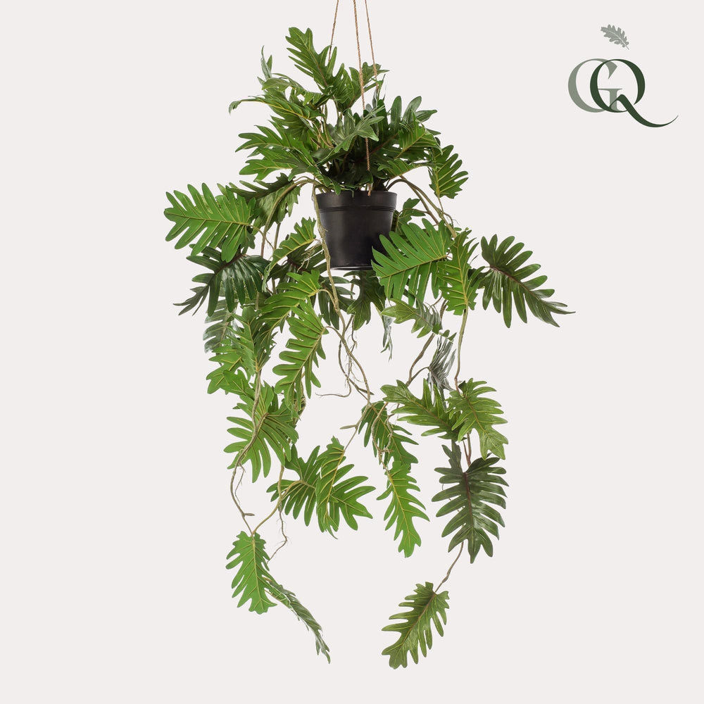 Philodendron - 80 cm - kunstpflanze-Plant-Botanicly
